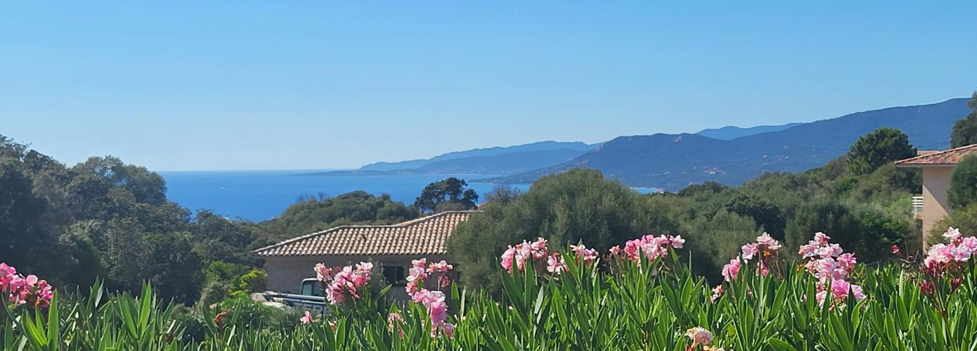 T3 Propriano Vue Mer, Neuf, Climatise Et Classe 4 Etoiles Viggianello Εξωτερικό φωτογραφία